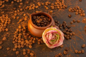 Coffee Robusta Parchment