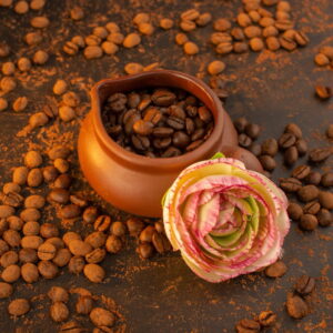 Coffee Robusta Parchment