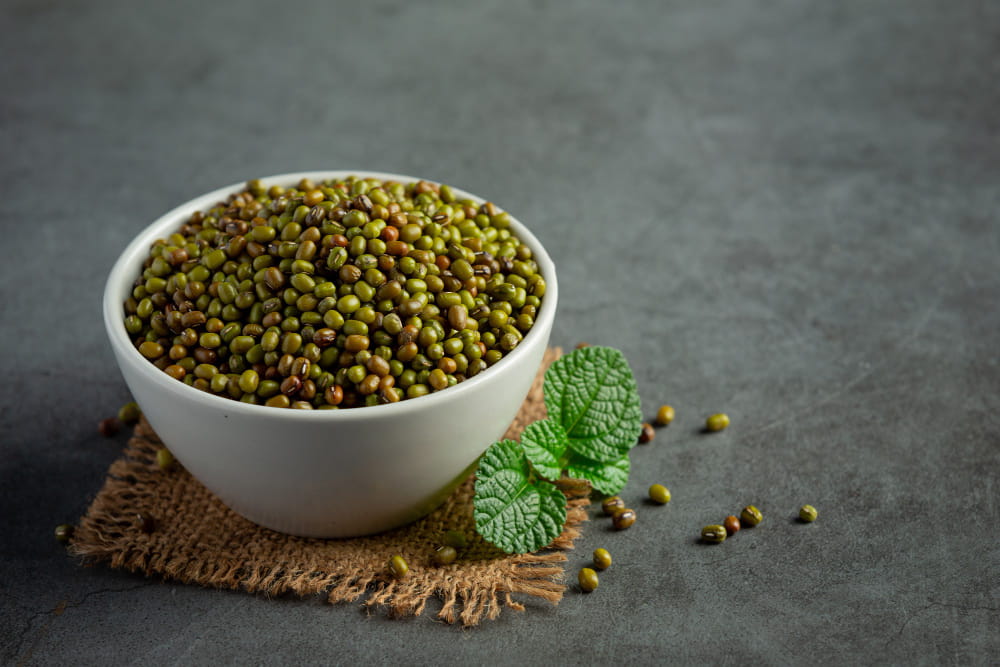 Mung Beans (Vigna radiata (L.) Wilczek)