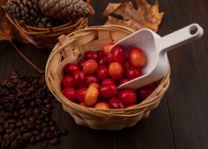 Coffee Arabica Cherry