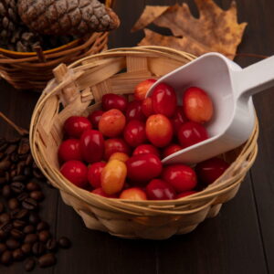 Coffee Arabica Cherry