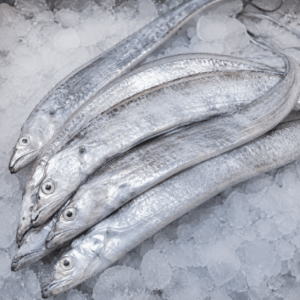 Ribbon Fish Frozen