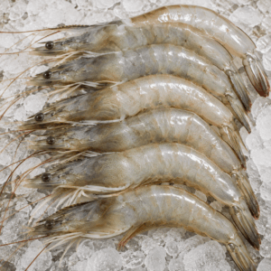 Vannamei Shrimp (Litopenaeus vannamei)