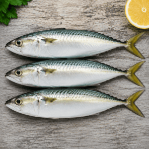 Indian Mackerel (Rastrelliger spp.)